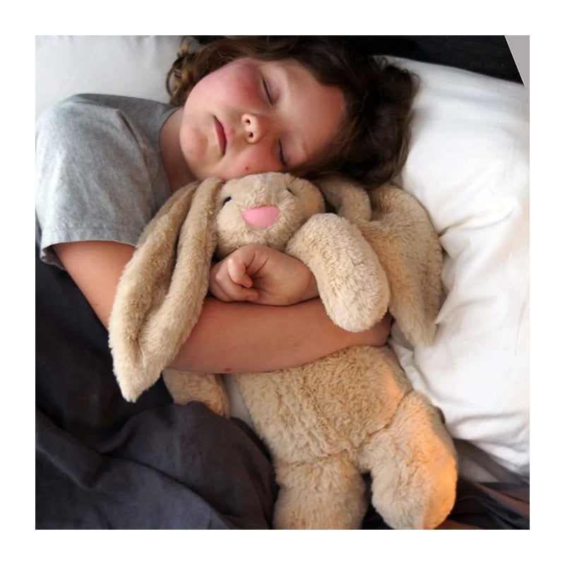 NOZIG Weighted Plush Toy For Sensory Seekers Berry Bear (1kg)