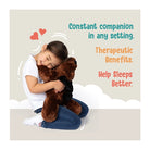 NOZIG Weighted Plush Toy For Sensory Seekers Berry Bear (1kg)