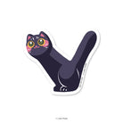 LOKAMADE Comeow Waterproof Sticker V