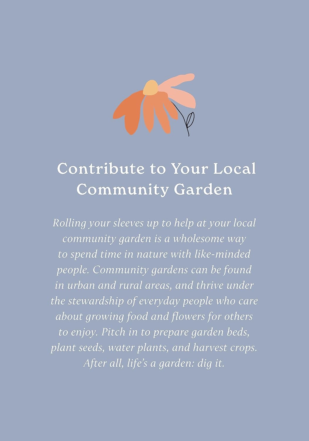 100 Ways to Reconnect with Nature