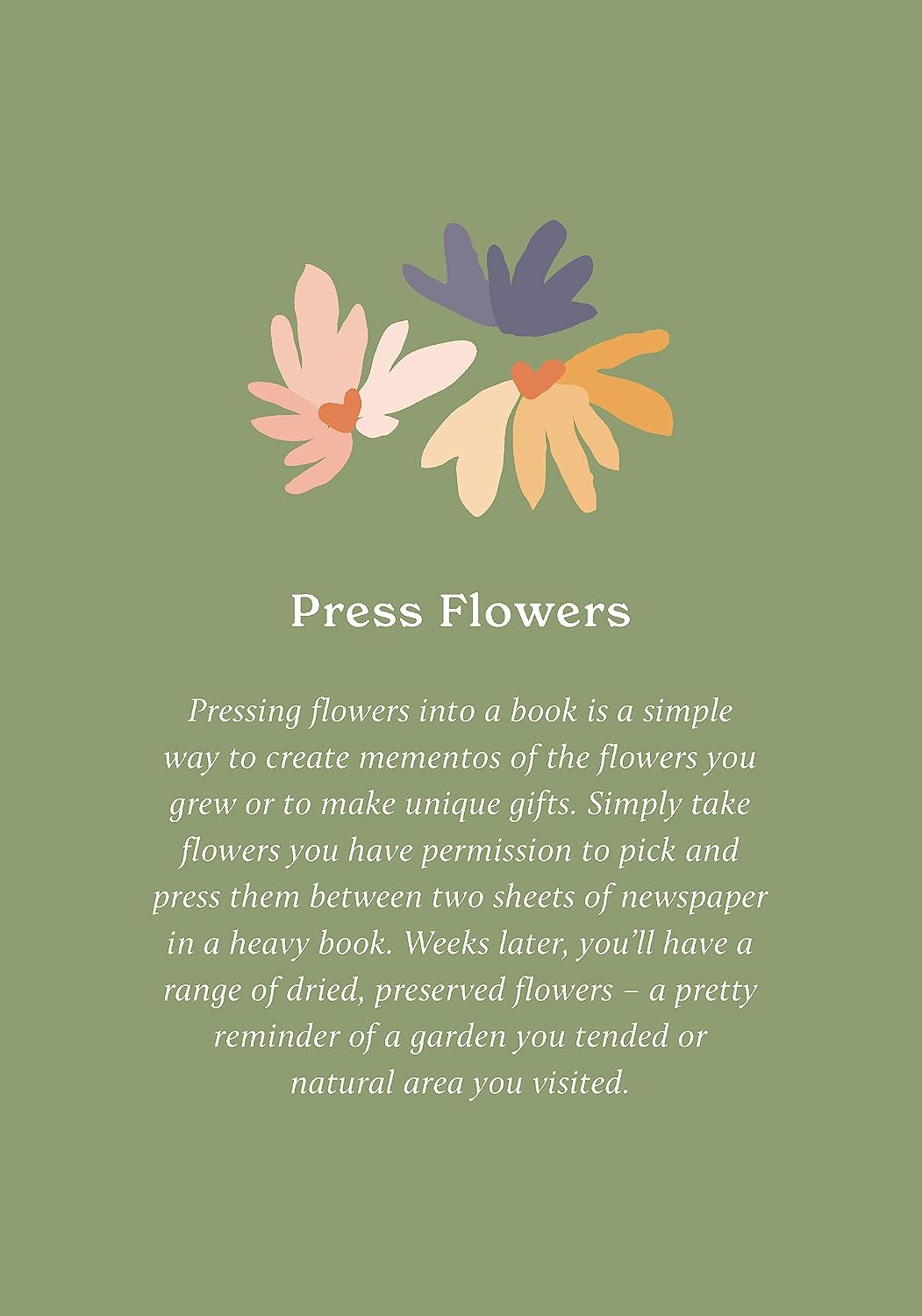 100 Ways to Reconnect with Nature