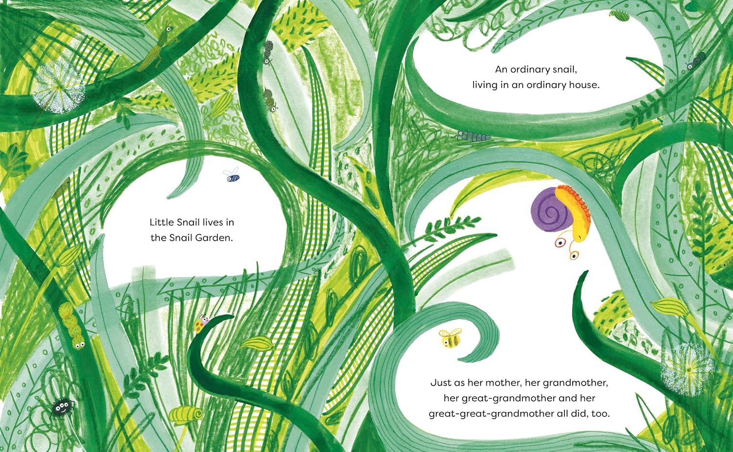 Little Snail Goes House-Hunting by Bia Melo
