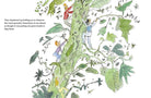 The Weed by Quentin Blake