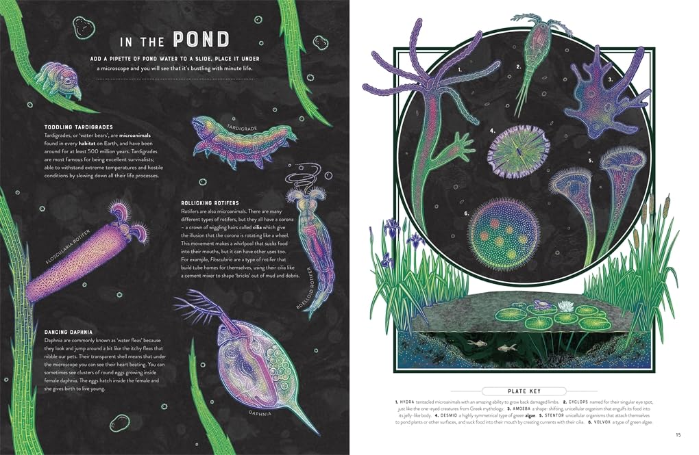 Micro The Wild Wonders of Microscopic Life by Jennifer N R Smith