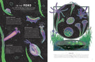 Micro The Wild Wonders of Microscopic Life by Jennifer N R Smith