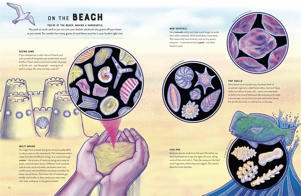 Micro The Wild Wonders of Microscopic Life by Jennifer N R Smith