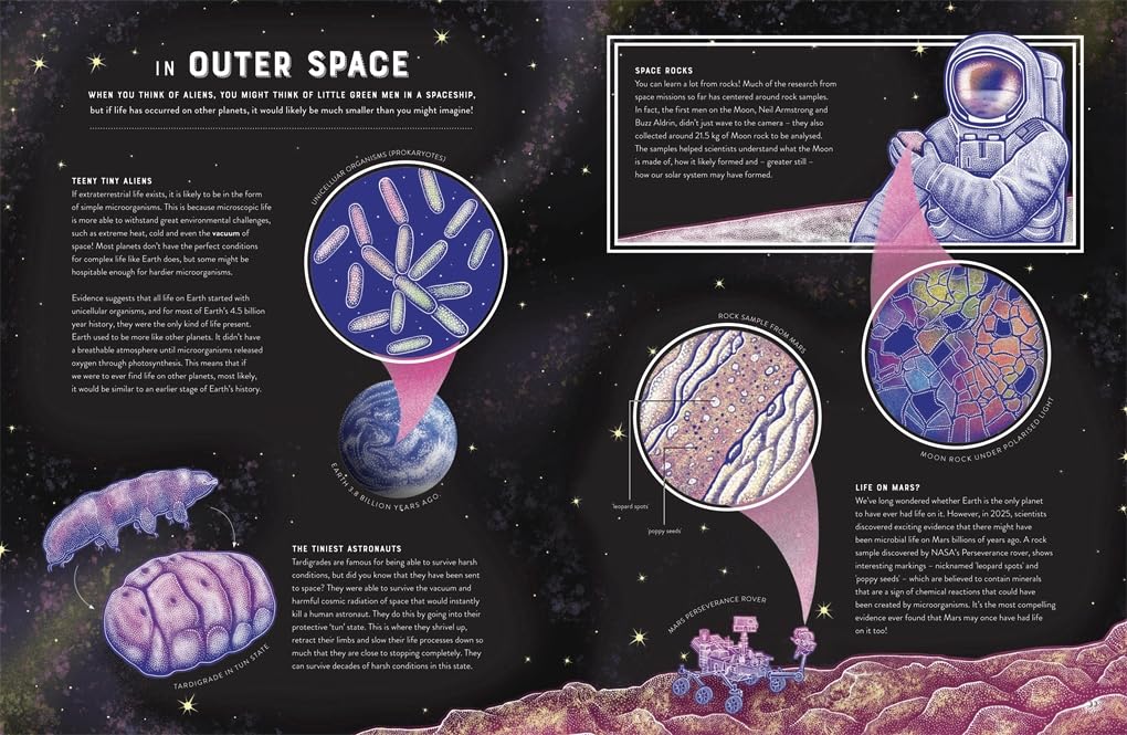Micro The Wild Wonders of Microscopic Life by Jennifer N R Smith