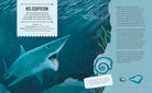 Beasts From Before the Dinosaurs by Ben Lerwill