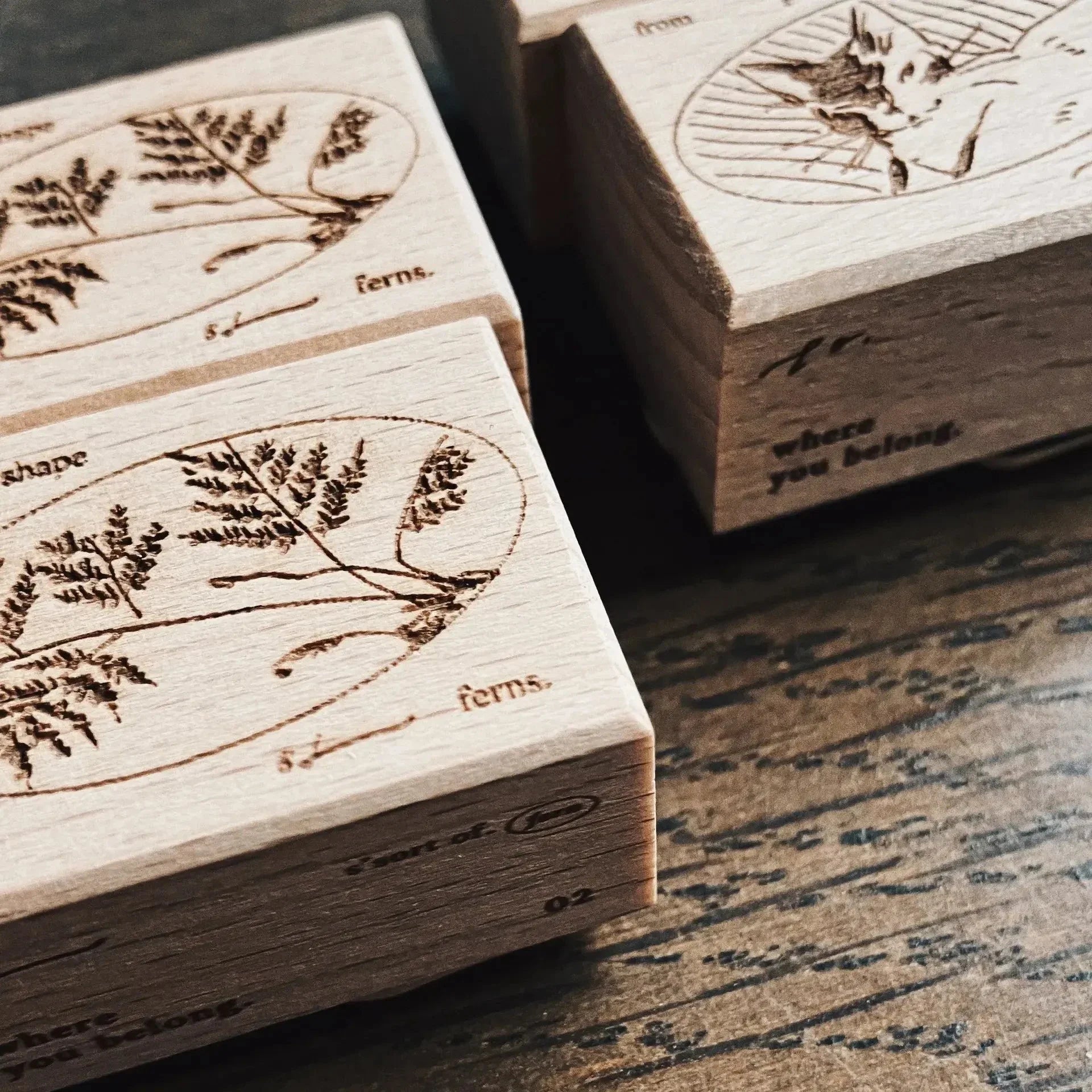 SOMESORTOF.FERN Rubber Stamp the shape of ferns