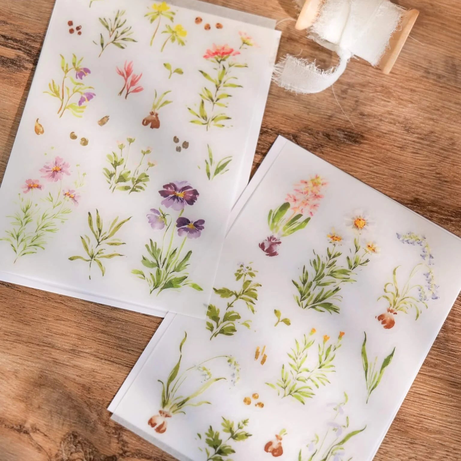 MEOW ILLUSTRATION Print-On Stickers A Year of Blossom