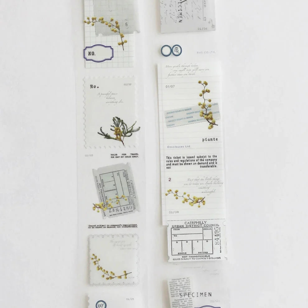 NYRET PET Tape (X) Mimosa Full Roll (5m)