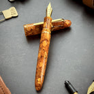 ESTERBROOK Estie Honeycomb Regular Fountain Pen Medium
