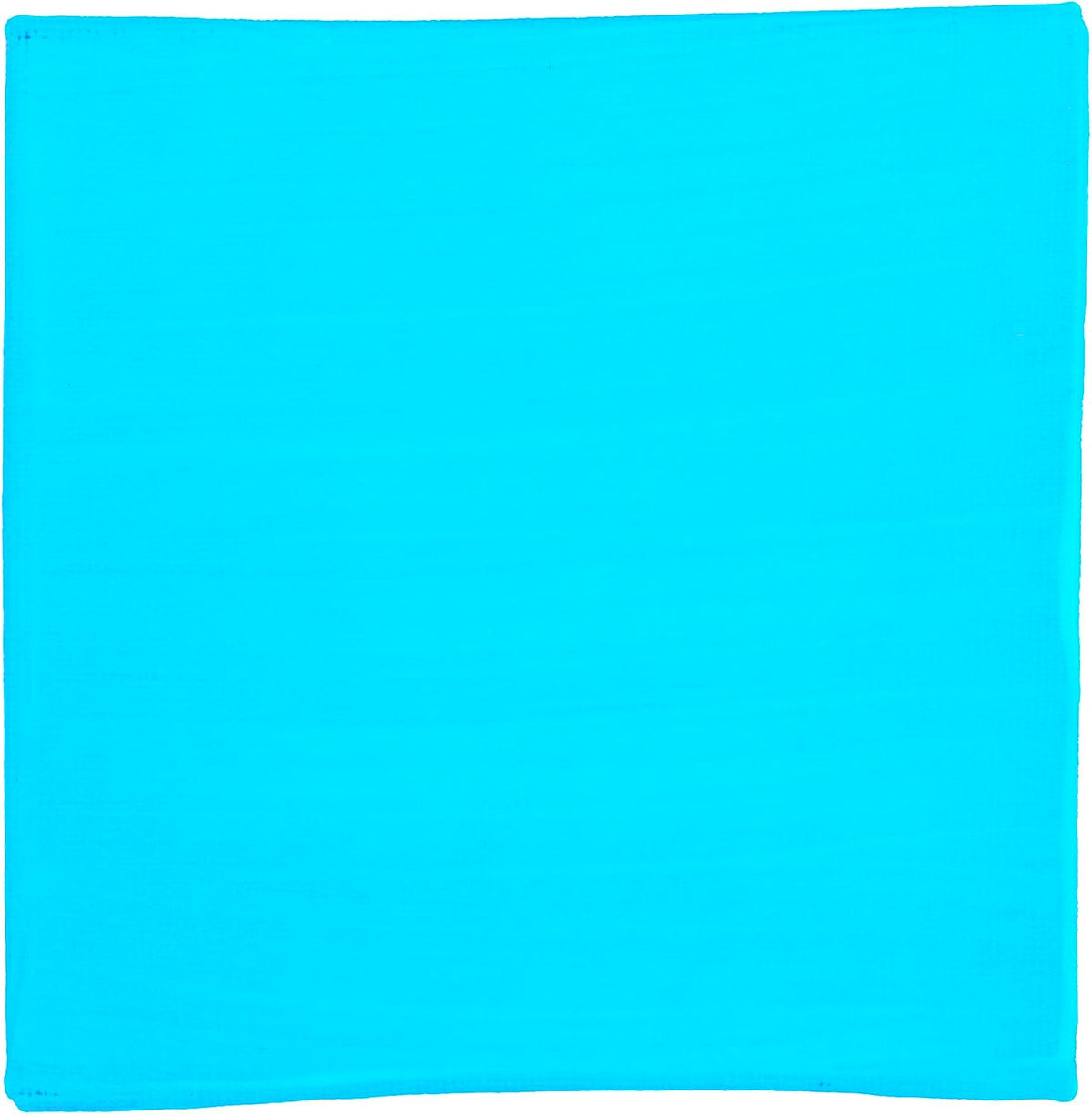 BLOCKX Artist Acrylic 120ml Neon Blue (225)