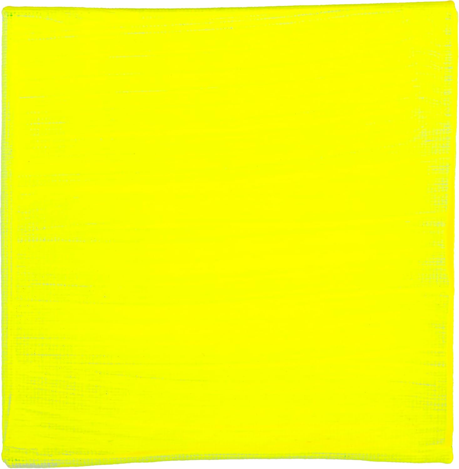 BLOCKX Artist Acrylic 120ml Neon Yellow (723)