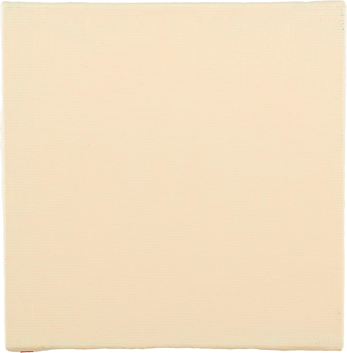 BLOCKX Artist Acrylic 120ml Ivory (015)