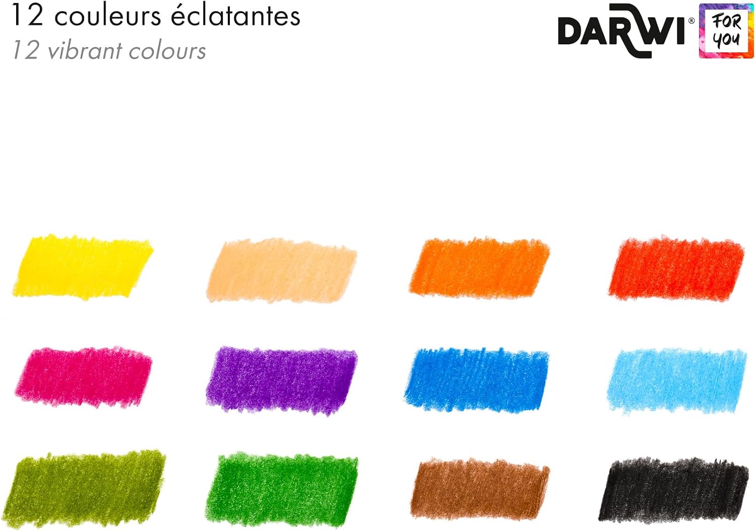 DARWI FOR YOU Artist Colour Pencils Set of 12