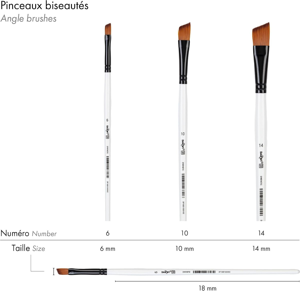 DARWI FOR YOU Angle Brush Size 10
