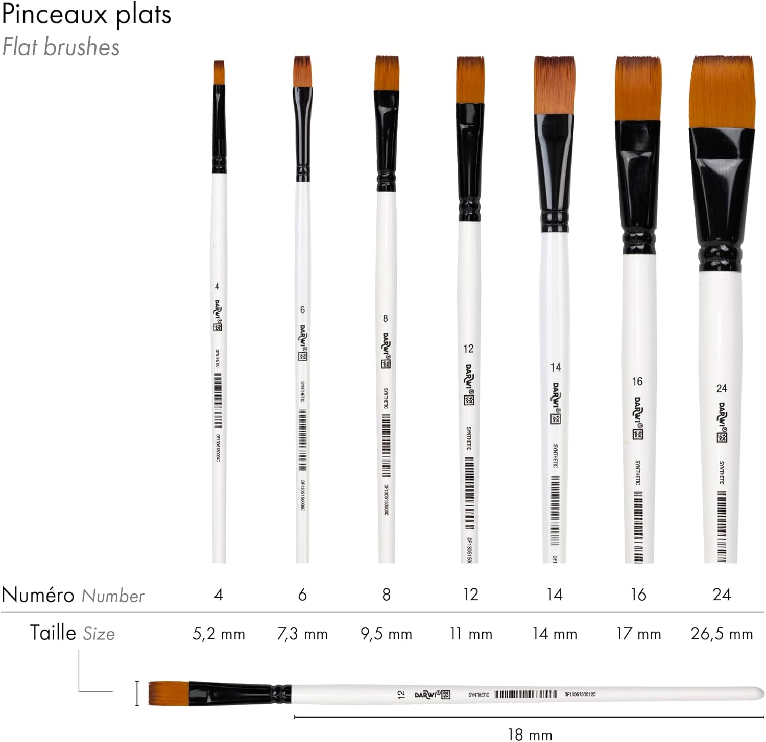 DARWI FOR YOU Flat Brush Size 12