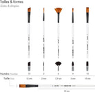 DARWI FOR YOU Set of 5 Brushes Medium Set 2