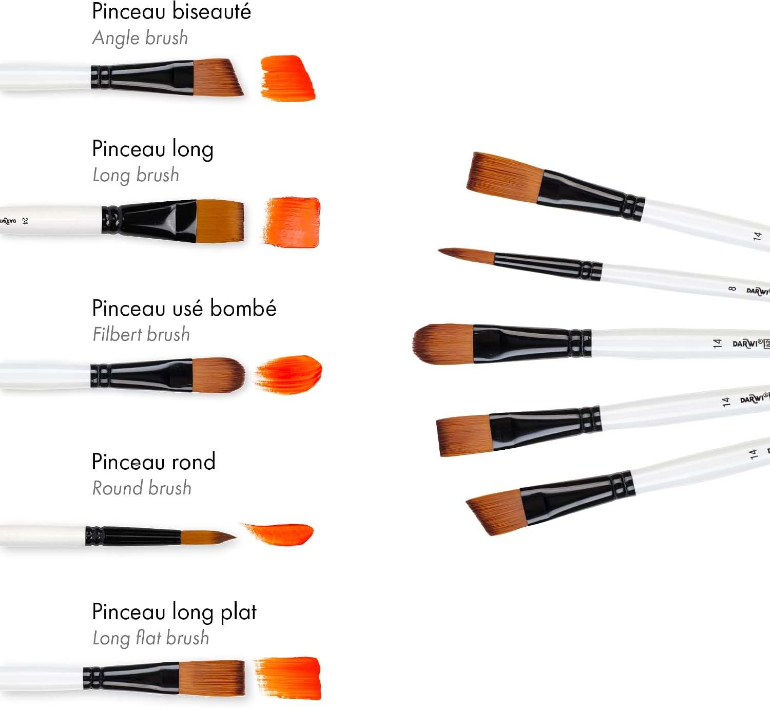 DARWI FOR YOU Set of 5 Brushes Medium Set 3