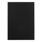 [Pre-Order] MIDORI 2027 Flat Diary A4 Black