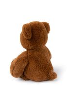 WWF ECO 29cm Bernard Bear Brown Default Title